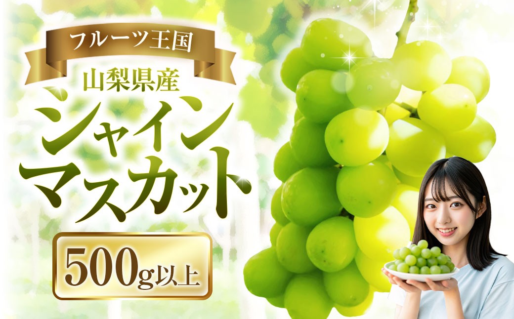 
            シャインマスカット 1房 500g以上 マスカット ぶどう ブドウ 葡萄 くだもの 果物 フルーツ 種なし 山梨県 中央市 送料無料 【2026年8月下旬-10月下旬発送予定】
          