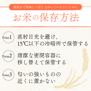 【3ヶ月定期便】こしひかり 10kg 令和7年産 コシヒカリ 定期便 お米 米
