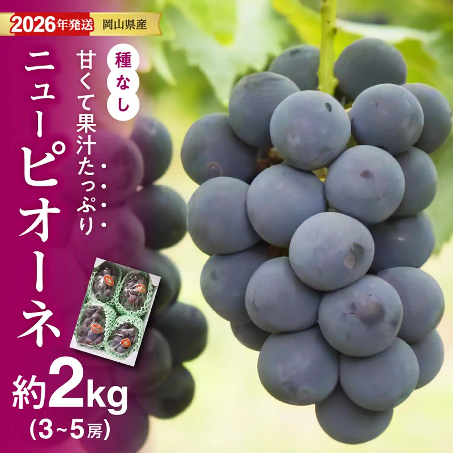 【2026年発送分 先行受付スタート！】岡山県産ニューピオーネ 　秀品　約2kg（3～5房程度）（令和8年8月中旬以降発送）【ニューピオーネ】