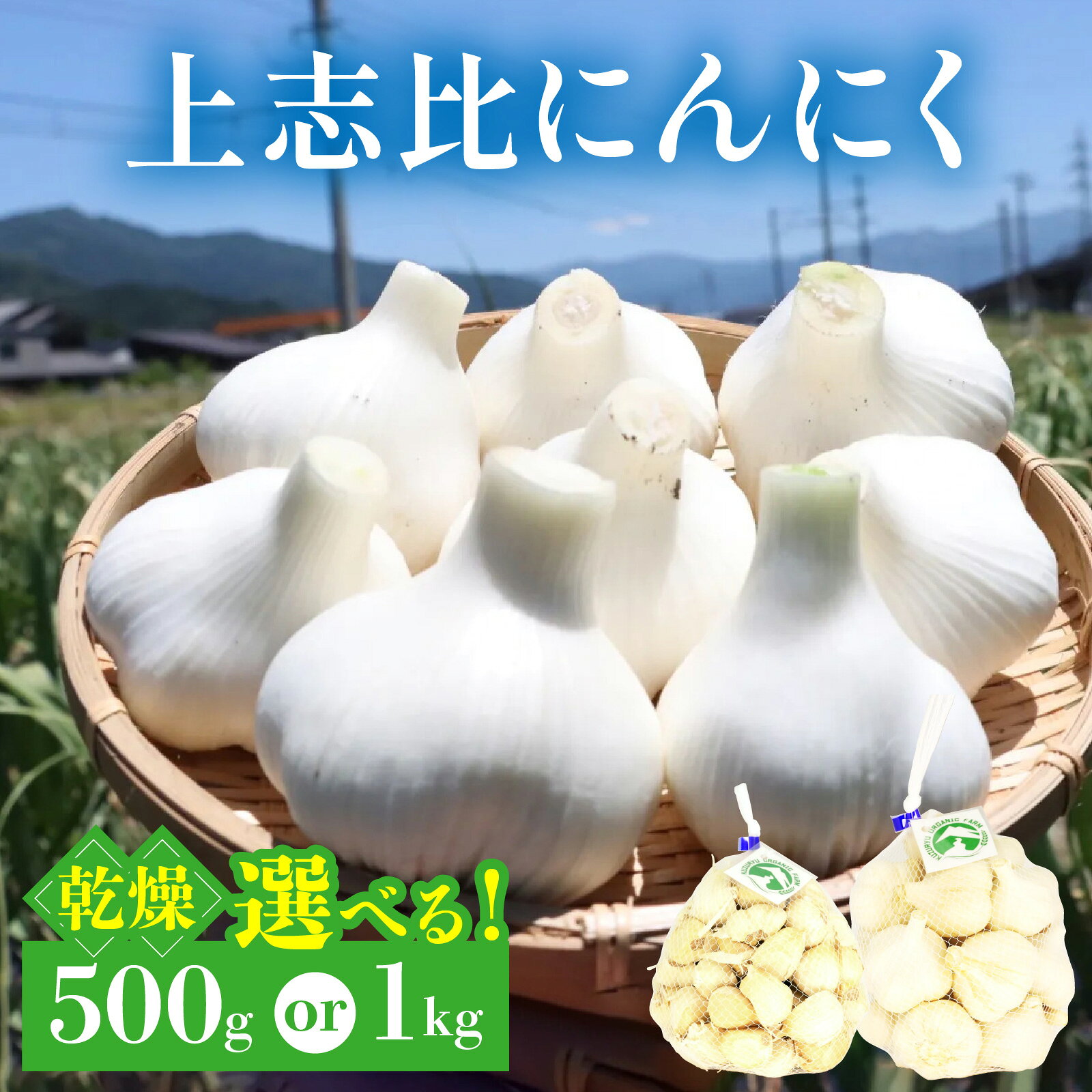【ふるさと納税】永平寺町産 乾燥 上志比にんにく 1kg 500g 【選べる容量】｜にんにく ニンニク ホワイト 球 乾燥 産地直送 国産 野菜 健康 福井県産