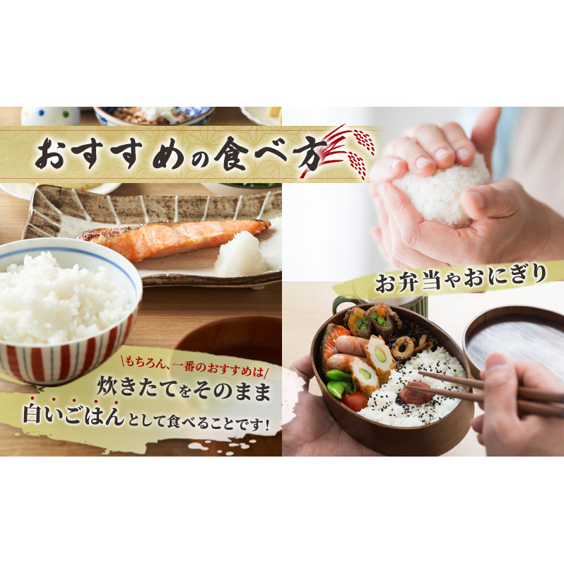 米 定期便 6ヵ月 ゆめぴりか 無洗米 10kg 白米 精米 産地直送 お米 単一原料米 ブランド米 特A米 特A 10キロ 北海道産 ご飯 ごはん こめ 送料無料 令和7年産 北海道 芦別 芦別市 