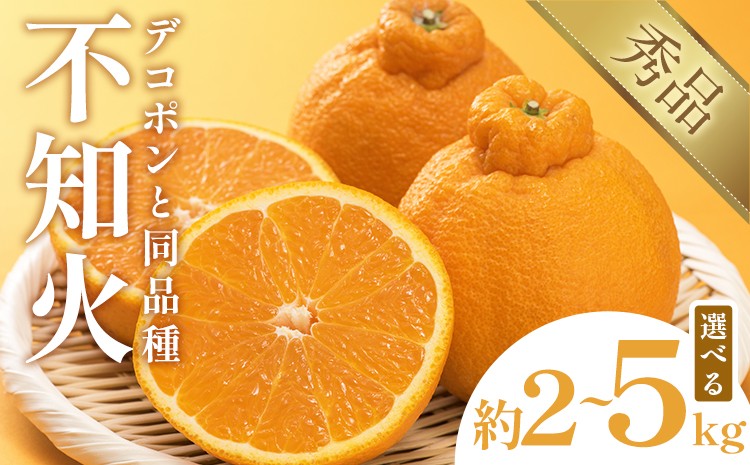 
                  不知火（デコポン同品種） 選べる 内容量 約2kg～約5kg 日本フルーツ株式会社 熊本県 長洲町 《1月下旬-2月末頃出荷》 デコポン 果物 秀品 フルーツ スイーツ デザート ギフト ご贈答
                