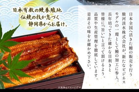 うなぎ 静岡県産 鰻2尾 約160g×2 蒲焼1尾 白焼1尾 [駿河淡水株式会社 静岡県 吉田町 22424653]