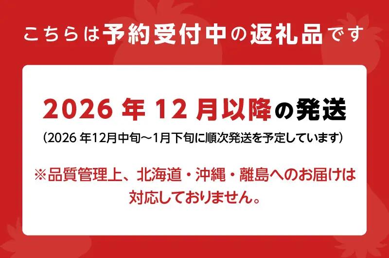 【12月中旬より順次発送】農家直送 朝採り新鮮いちご【博多あまおう】約270g×2パック_農家直送 朝採れ 新鮮 いちご 博多 あまおう 約 270g × 2パック 苺専用 パッケージ 包装 味 鮮度