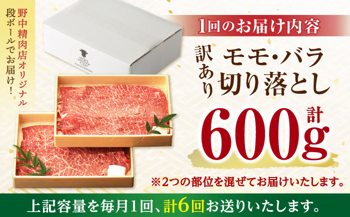 【6回定期便】【訳あり】切り落とし 赤身 モモ バラ 600g / 長崎和牛 A4～A5ランク ワケあり 小間切れ / 諫早市 / 野中精肉店 [AHCW013]