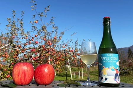 【辛口・甘口】アルプズ アップルシードル  ALP’S APPLE CIDRE 720ml × 各1本飲み比べセット | アップルシードル アップルスパークリングワイン サンふじりんごシードル お酒 