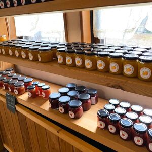 那須高原の小さなジャム屋 無添加手作りジャム 那須高原産ブルーベリージャムといちごジャムセット 各1本 ｜ ジャム 手作り 無添加 パン セット 濃厚 那須 栃木県 那須町 〔P-316〕