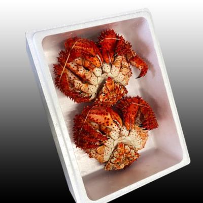 ふるさと納税 根室市 ＜12/21まで年内配送＞★花咲かに400g前後〜600g前後×2尾 A-30030 |  | 01