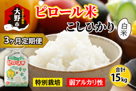 【令和6年産 新米】【3ヶ月定期便】こだわりの米！弱アルカリ性のピロール米 こしひかり 白米 5kg×3回 計15kg [C-009001]