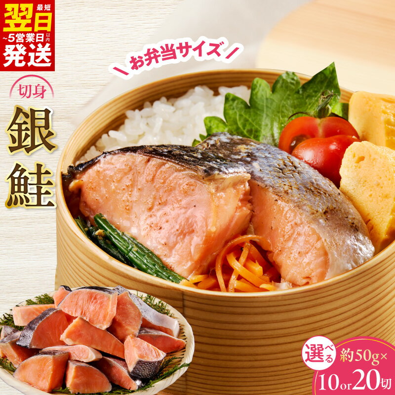 【ふるさと納税】【訳あり】 銀鮭 切り身 お弁当サイズ 1切れ 約 50g 選べる 内容量 500g / 1kg 便利 小分け 漁師 手切り サケ 弁当 おかず 朝食 時短 サイズ不揃い 規格外 バラ凍結 魚介 海産物 魚 海鮮 焼き鮭 冷凍 最短 翌日発送 5営業日 大阪府 泉佐野市 送料無料