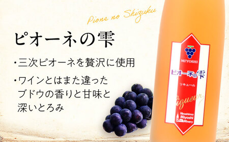 ピオーネの雫 500ml×6本 果実酒 三次ワイナリー ぶどう ピオーネ リキュール 甘口 ギフト 広島 三次 酒 三次市 / 広島三次ワイナリー[APAZ117]