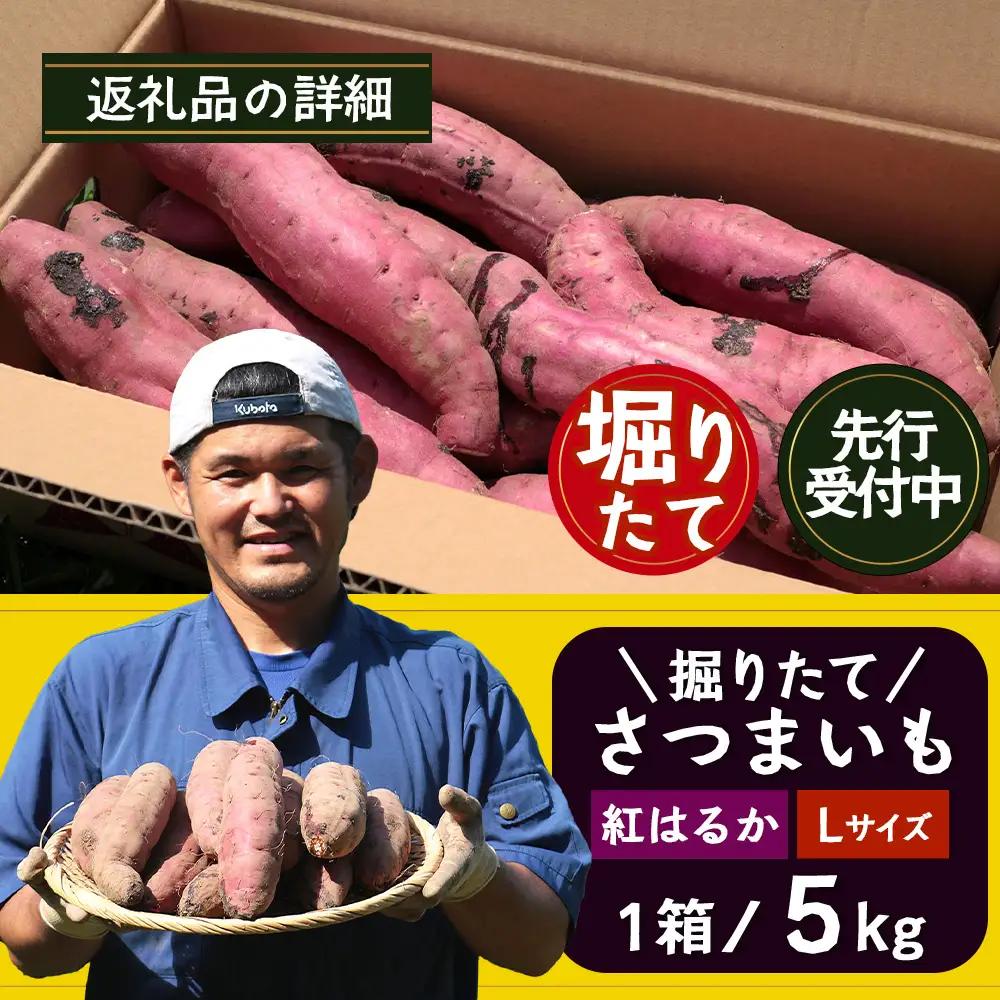【先行予約：2026年9月中旬配送～】掘りたて さつまいも 紅はるか 5kg Lサイズ (おすそ分け袋／自宅で簡単レシピ付き）FR-532 | 秋の味覚 2026年秋収穫 新物 さつまいも サツマイモ