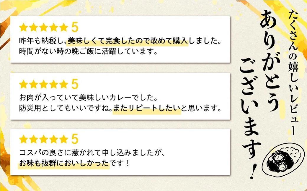 飛騨牛カレー (5袋)  | 訳あり 飛騨牛 肉 牛 カレー ビーフカレー 簡易包装 レトルトカレー 人気 おすすめ おいしい 便利 飛騨高山 ふるさと清見 DC005VC13