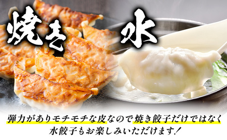 【3ヶ月定期便】鹿児島 うんまか豚 生餃子 48個 株式会社 寺師《お申し込み翌月から出荷》鹿児島県 さつま町 餃子 ギョウザ 焼き餃子 水餃子