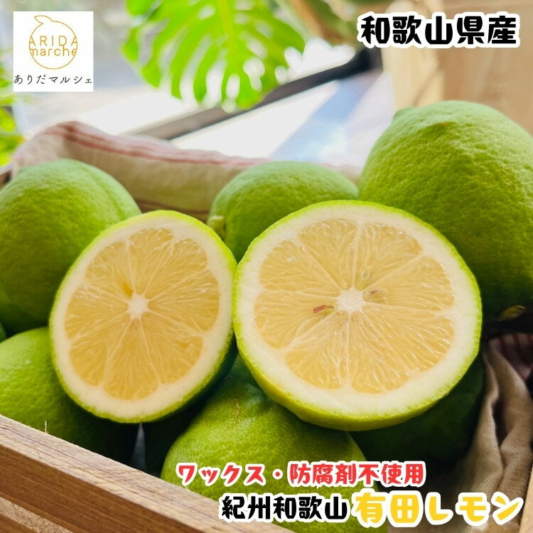 【ふるさと納税】【選べる容量】［先行予約］［国産］紀州和歌山 有田レモン 1～3kg | フルーツ 果物 くだもの 食品 人気 おすすめ 送料無料 農家直送
