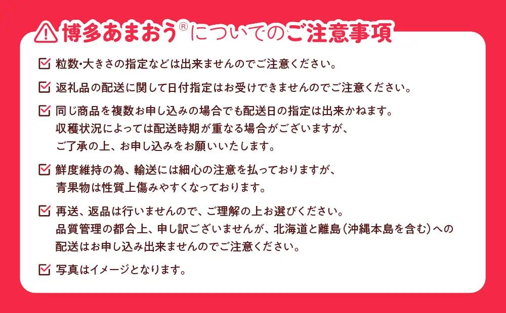 DH005.【あまおうが大好きなアナタへ】あまおう定期便（全4回）【北海道・沖縄・離島へ配送不可】【あまおう】