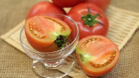 甲州高原トマト 4kg【2024年発送】B-405