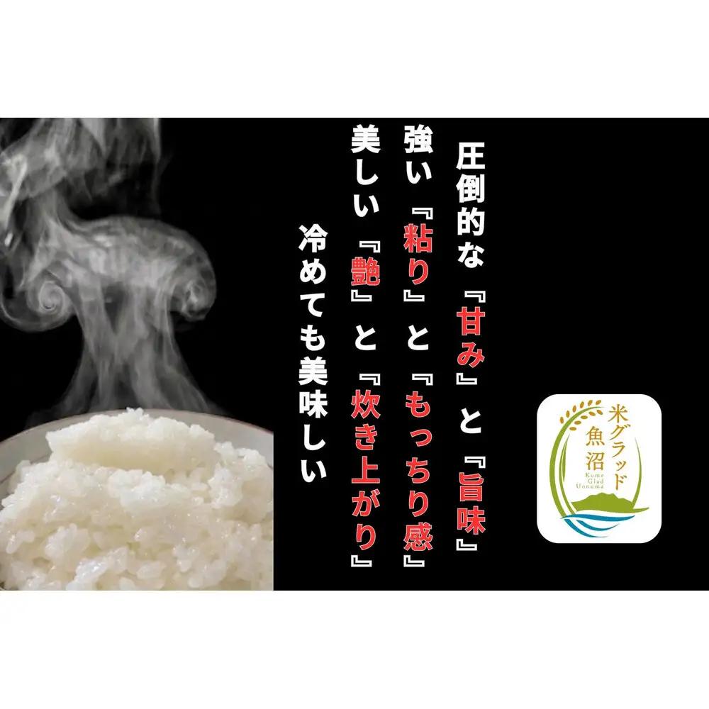 【令和8年産 新米】新潟県南魚沼産　新之助　2kg　大粒でツヤがあるこれまでにないお米