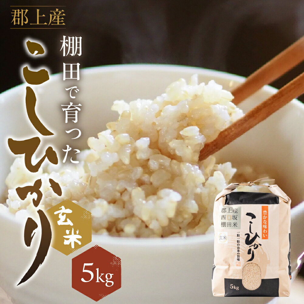 【ふるさと納税】コシヒカリ こしひかり 玄米 5kg 農家直送 2025年産 令和7年産 お米 コメ こめ ご飯 [G0190] 14000円