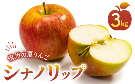 東御市産りんご長野県生まれのジューシーな「シナノリップ」３kg ※８月上旬～９月上旬ごろお届け予定　りんごりんごりんごりんごりんごりんごりんご
