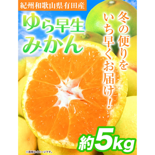 先行予約 紀州和歌山有田産 ゆら早生みかん 約5kg 魚鶴商店《2025年10月上旬-11月上旬頃出荷》 和歌山県 日高町 みかん 早生 柑橘