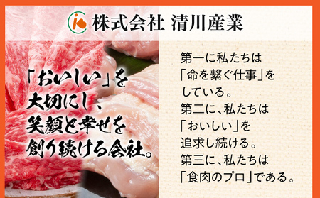 豚肉 福袋 【B】ふくよか豚肉 お試し全部セット
