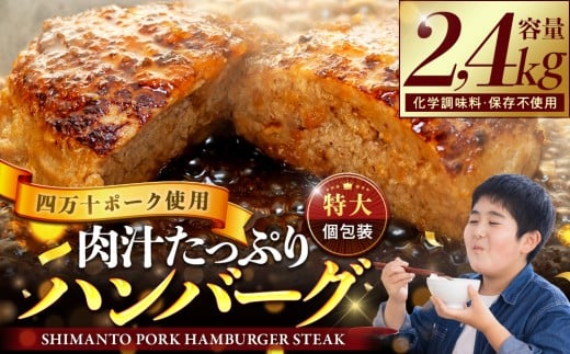 ハンバーグ 四万十ポーク 入り 2.4kg ( 200g × 12個 )  冷凍 真空 小分け 個包装 肉汁 たっぷり 大容量 大きめ 合挽き 牛肉 豚肉 保存料 不使用 ビーフ ポーク 合いびき肉 挽肉 ジューシー お弁当 おかず 惣菜 晩ごはん 贅沢 ギフト 贈り物 贈答 SNM001-1