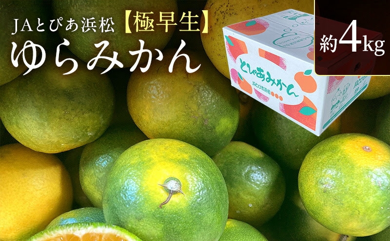 
                  JAとぴあ浜松 極早生 ゆらみかん 約4kg (約40～50個) とぴあ みかん ゆら早生みかん ごくわせ 美味しい 静岡 浜松市 [№5360-1192]
                
