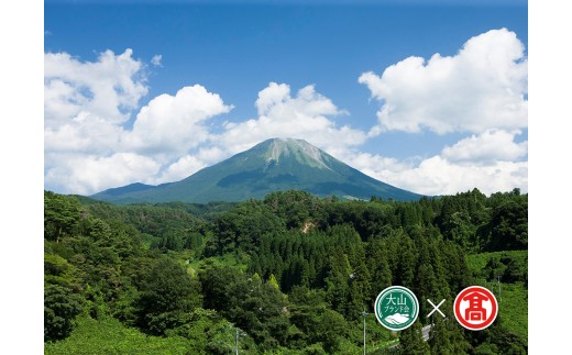 EA1＜大山山麓天然水＞シリカスイッチ500ml×24本