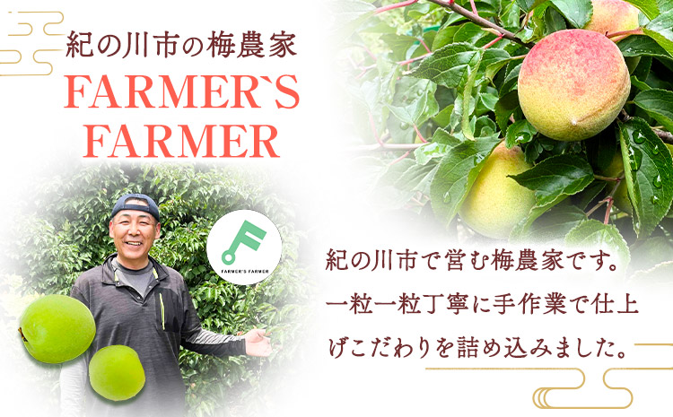 梅干し 紀州南高梅 無添加 無着色 400g （200g × 2パック） FARMER'S FARMER《90日以内に出荷予定(土日祝除く)》和歌山県 紀の川市 うめ 南高梅 紀の川市産