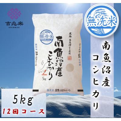 ふるさと納税 南魚沼市 【毎月定期便】南魚沼産こしひかり　無洗米　5kg全12回