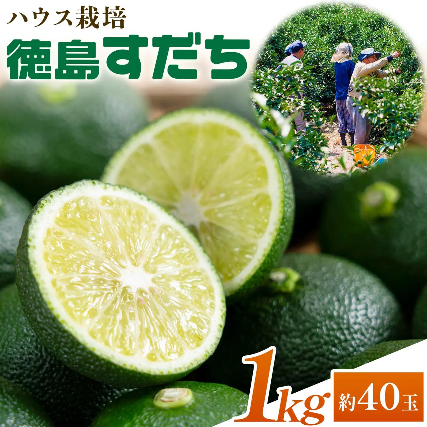 ハウスすだち1kg すだち