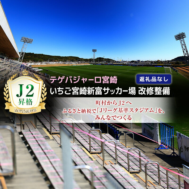 【ふるさと納税】＜テゲバジャーロ宮崎＞ J2昇格 応援 スタジアム 改修整備 1口 30,000円 いちご宮崎新富サッカー場 サッカー Jリーグ J2 スポーツ 社会貢献 地域活動 応援寄附 支援 ファン サポーター 名前 刻印 返礼品なし