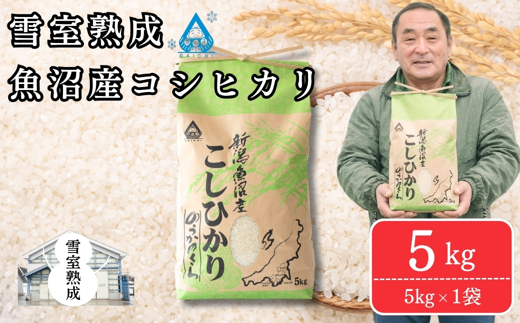 雪室貯蔵 魚沼産コシヒカリ 5kg(5kg×1袋)  精米 令和7年産 | 新潟県 津南町 有限会社大地