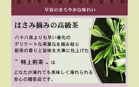 【さくら缶】学生さん達と考えた 深蒸し茶 ギフトセット！ 絵柄が選べる100g缶 （100g×2缶 計200g）！ 自分への大感謝祭 セット お茶 茶缶 緑茶 深蒸し茶 静岡緑茶 日本茶