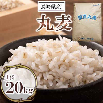 ふるさと納税 諫早市 丸麦(長崎県産)20kg×1袋