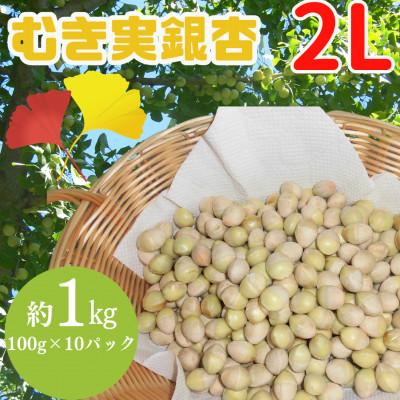 ふるさと納税 山辺町 山形県山辺町産　むき実銀杏 (ぎんなん)【2L】 約1kg(100g×10パック)