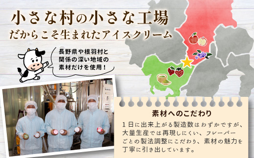 〈スピード発送〉マダガスカル産　バニラビーンズ使用！バニラアイスクリーム (80ml)×16個入り 根羽村 ネバーランド 12000円
