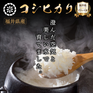 【定期便3回】福井県産 コシヒカリ 精米 5kg（5kg×1）＜令和7年産 新米 / 数量限定 ＞【米 コメ お米 精米 白米 無洗米 玄米 ご飯 飯 こしひかり ブランド米 国産】[095-t3-a
