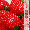 【ふるさと納税】いちご 古都華 約270g × 2パック 大和郡山市産いちご フルーツ 果物 旬 朝採れ 朝どれ 産地直送 旬のフルーツ 旬の果物 お取り寄せ おやつ デザート 希少 ことか 苺 冷蔵 冷蔵配送 奈良 奈良県　お届け：2025年1月15日～3月31日