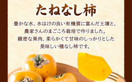 【ご家庭用】和歌山産のたねなし柿約7.5kg Lまたは2LサイズおまかせまたはM～3Lサイズ混合(個数目安:28玉～40玉)《10月上旬-11月末頃出荷予定》 和歌山県 紀の川市 紀の川市厳選館 柿 