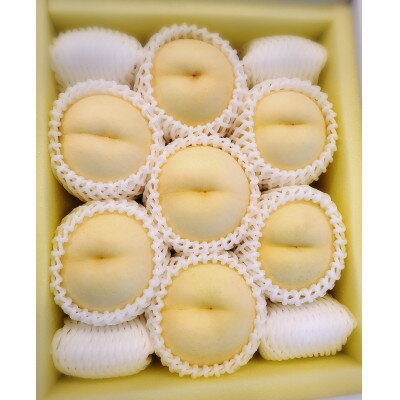 【ふるさと納税】【先行予約★2026年8月下旬より順次発送予定】岡山県産　白皇(2kg箱)【配送不可地域：離島・北海道・沖縄県】【1667456】