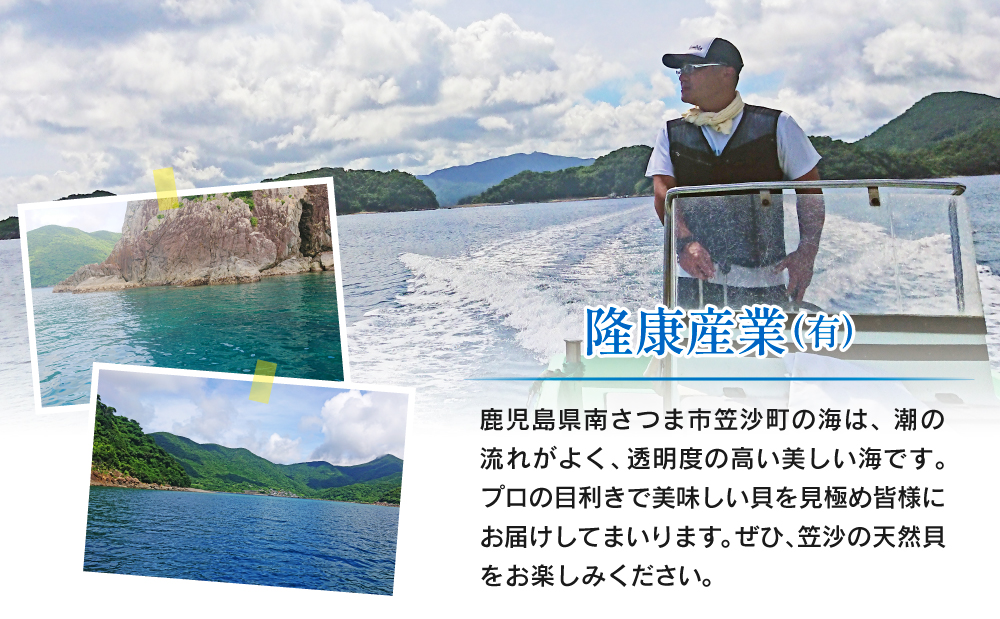 【素潜り漁師直送】【袋に入った冷凍のままでレンジ対応】【南さつま市　笠沙産　天然マミナ貝】シッタカ クボガイ 海産物 魚介類 鹿児島県 南さつま市 隆康産業