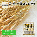 【ふるさと納税】米 若葉の舞 コシヒカリ 白米5kg×2個セット 定期便12回 こしひかり セット 定期便 お米 白米 精米 千葉 千葉県 低温保存　定期便