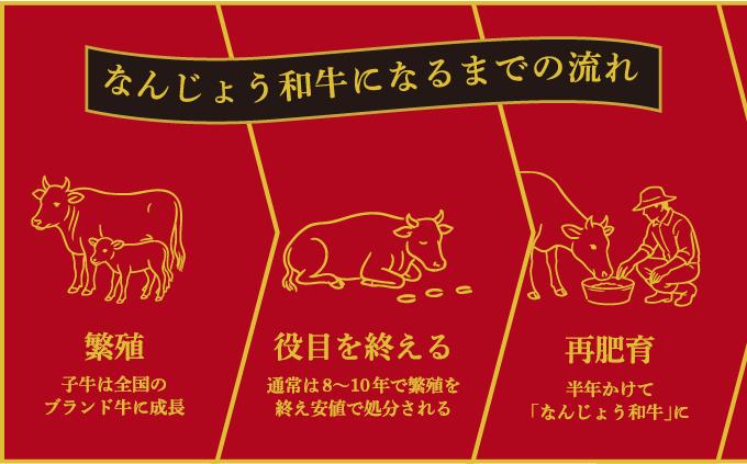 《極上の味わい》和牛しゃぶしゃぶ用 200g×2パック 合計400g なんじょう和牛   I   和牛しゃぶしゃぶ 2パック ブランド和牛 牛肉 200g 400g 2パック  沖縄県 南城市
