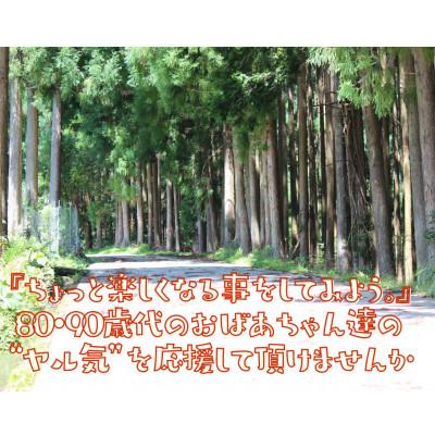 ふるさと納税 北川村 <応援してください>　「いこいの里」の自生苔　34cm×51cmトレー1個分 |  | 03
