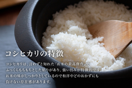 令和5年産米 小美玉産コシヒカリ 10kg こしひかり お米 白米 茨城県 小美玉市 17-K