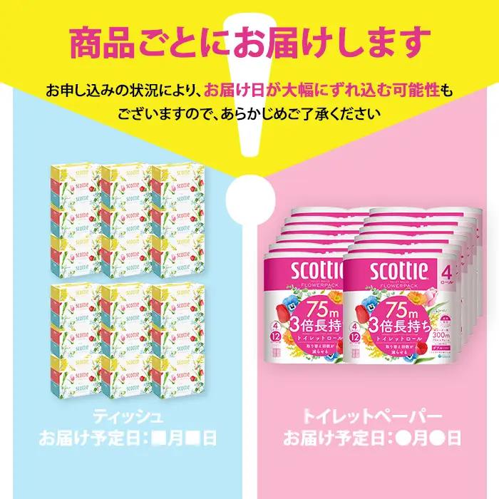 スコッティ トイレットロール 48個 + ボックスティッシュ 54箱（トイレットペーパー ティッシュ 日用品）