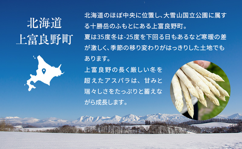 【令和8年産】 〔メディア掲載されました〕 グリーン アスパラガス 3L 400g 春アスパラ 野菜 旬 新鮮 産地直送 甘い 極太 お取り寄せ グルメ 高評価 限定 北海道 上富良野産