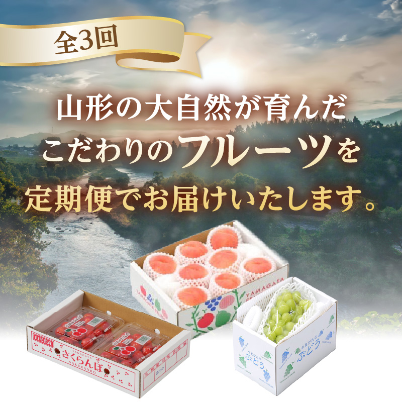 【発送月固定】山形旬彩！こだわりフルーツ定期便全３回Ｂ